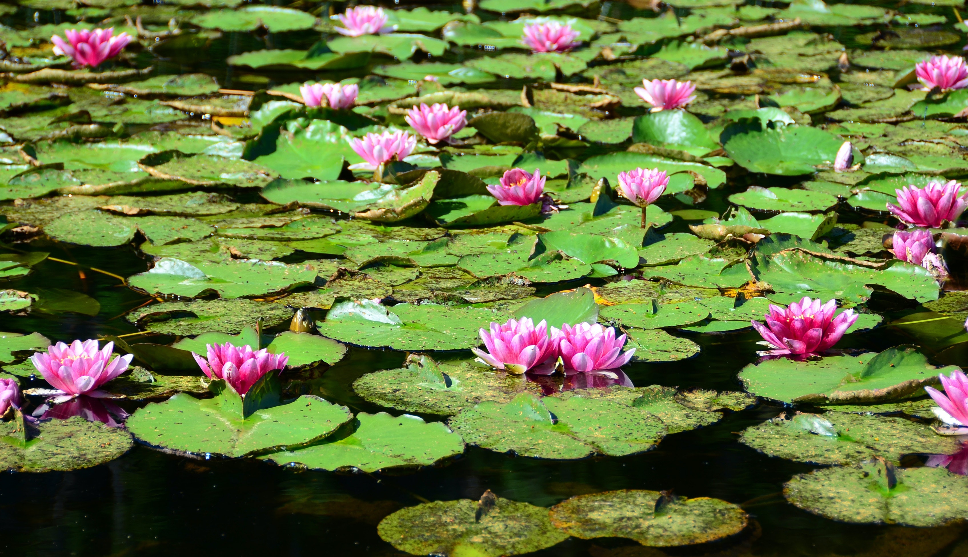 1655260494003 1446045 27336929