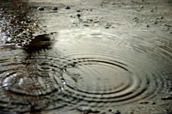 1655260498586 901702 32076356 4 1655260498586 901702 32076356 4