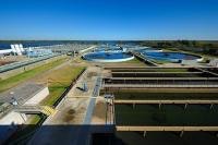 1655260513472 Unnamed 21