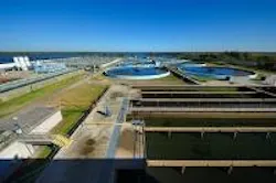 1655260513472 Unnamed 21 1655260513472 Unnamed 21