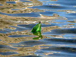 1655260541463 Pollution 1655260541463 Pollution