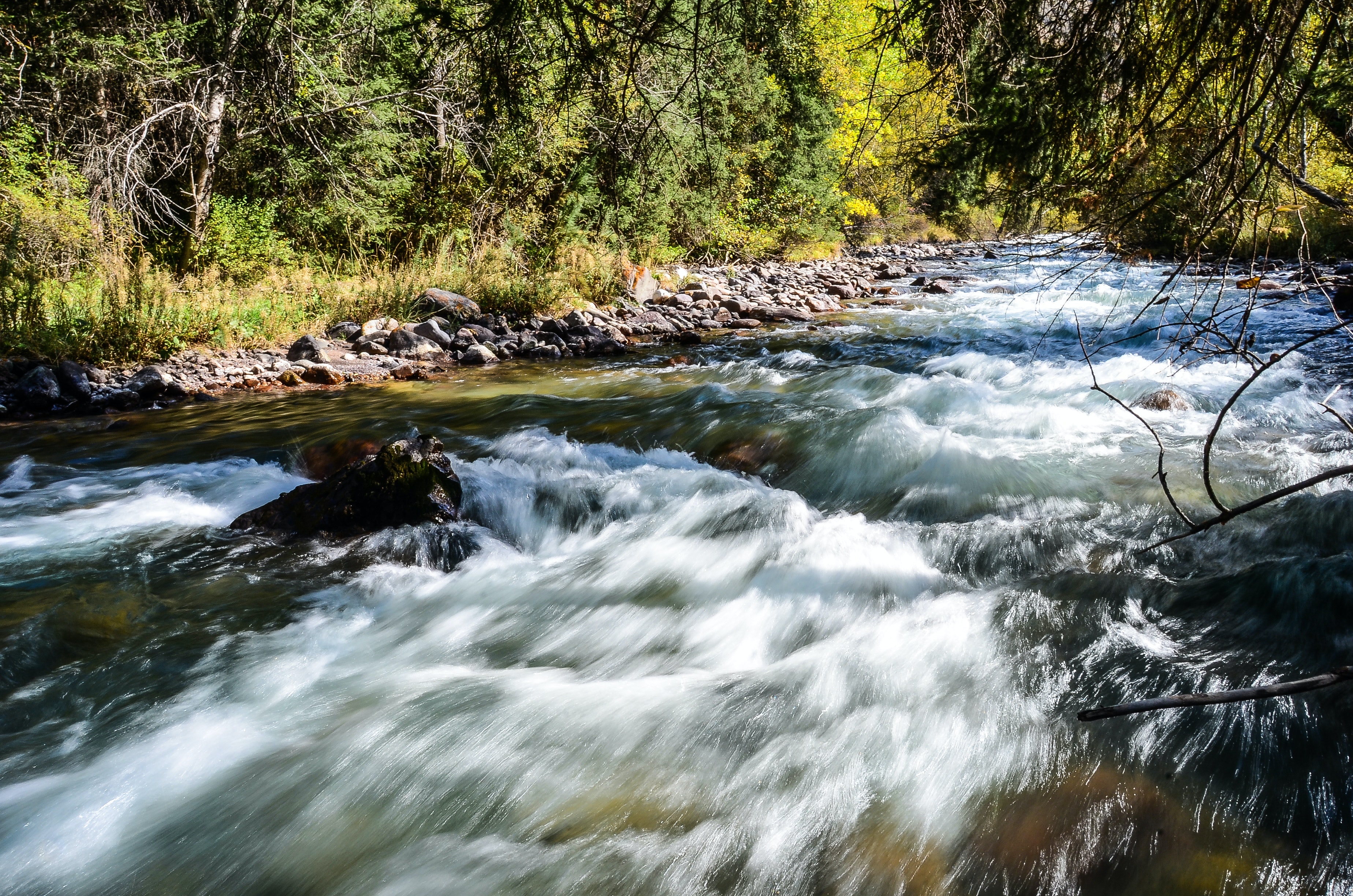 1655260547966 River7 0