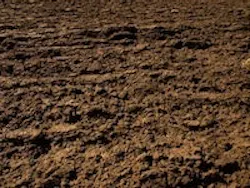 1655260562881 Soil2 1 1655260562881 Soil2 1