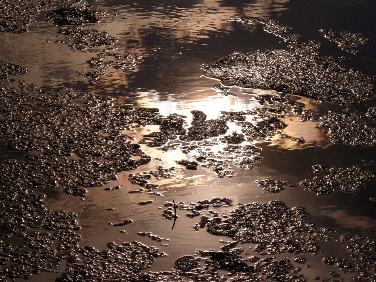 1655260605994 Product Removes Sludge