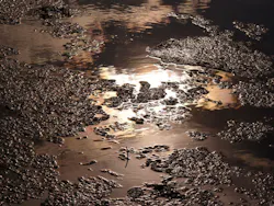 1655260605994 Product Removes Sludge 1655260605994 Product Removes Sludge