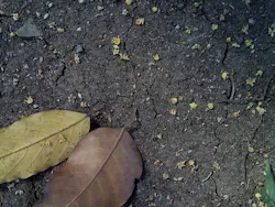 1655260695144 1 1655260695144 1