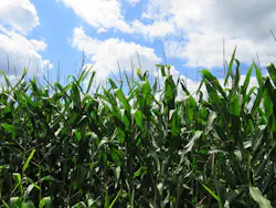 1655260704777 4 1655260704777 4