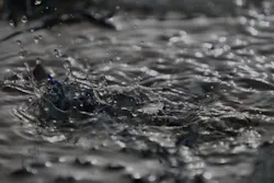 1655260710318 4 1655260710318 4