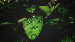 1655260728094 5 1655260728094 5