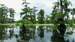 1655260748570 1 1655260748570 1