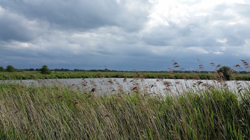 1655260776703 Pond819689 1920