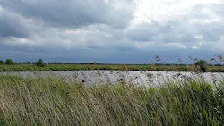 1655260776703 Pond819689 1920 1655260776703 Pond819689 1920