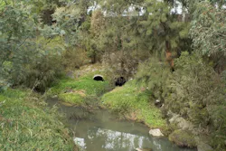 1655260777841 River2815238 1920 1655260777841 River2815238 1920