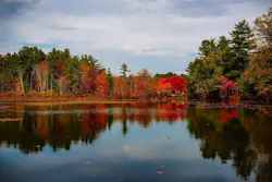 1655260828632 Massachusetts 1 1655260828632 Massachusetts 1