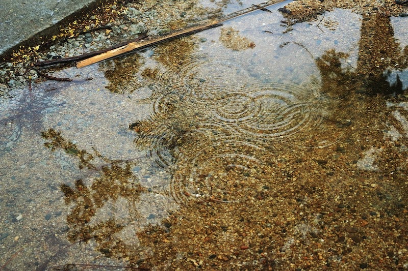 1655260831872 Sedimentcontrol