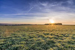 1655260836682 Solarfarm 1655260836682 Solarfarm