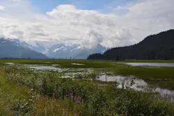 1655260844347 Kenaiwater 1655260844347 Kenaiwater