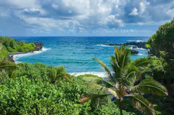 1655260859235 Mauipollution 1655260859235 Mauipollution