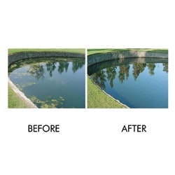 1655262535993 Sonic Rs