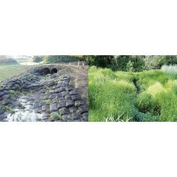 1655262538713 Vegetatedretainingwall Rs