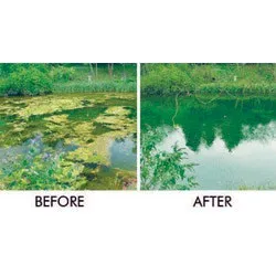 1655262583739 Algaecontrol Rs 1655262583739 Algaecontrol Rs