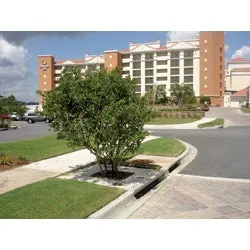 1655262593110 Filterraweb 1655262593110 Filterraweb