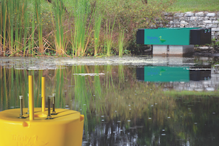 1655262631931 Thirsty Duck Ps Foas