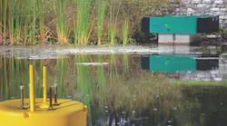 1655262631931-thirsty_duck_ps_foas 1655262631931-thirsty_duck_ps_foas