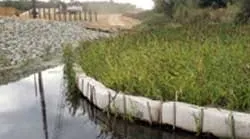 1655262639550-americanexcelsior 1655262639550-americanexcelsior