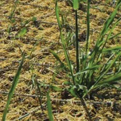 1655262642371 Geobrugg 0 1655262642371 Geobrugg 0