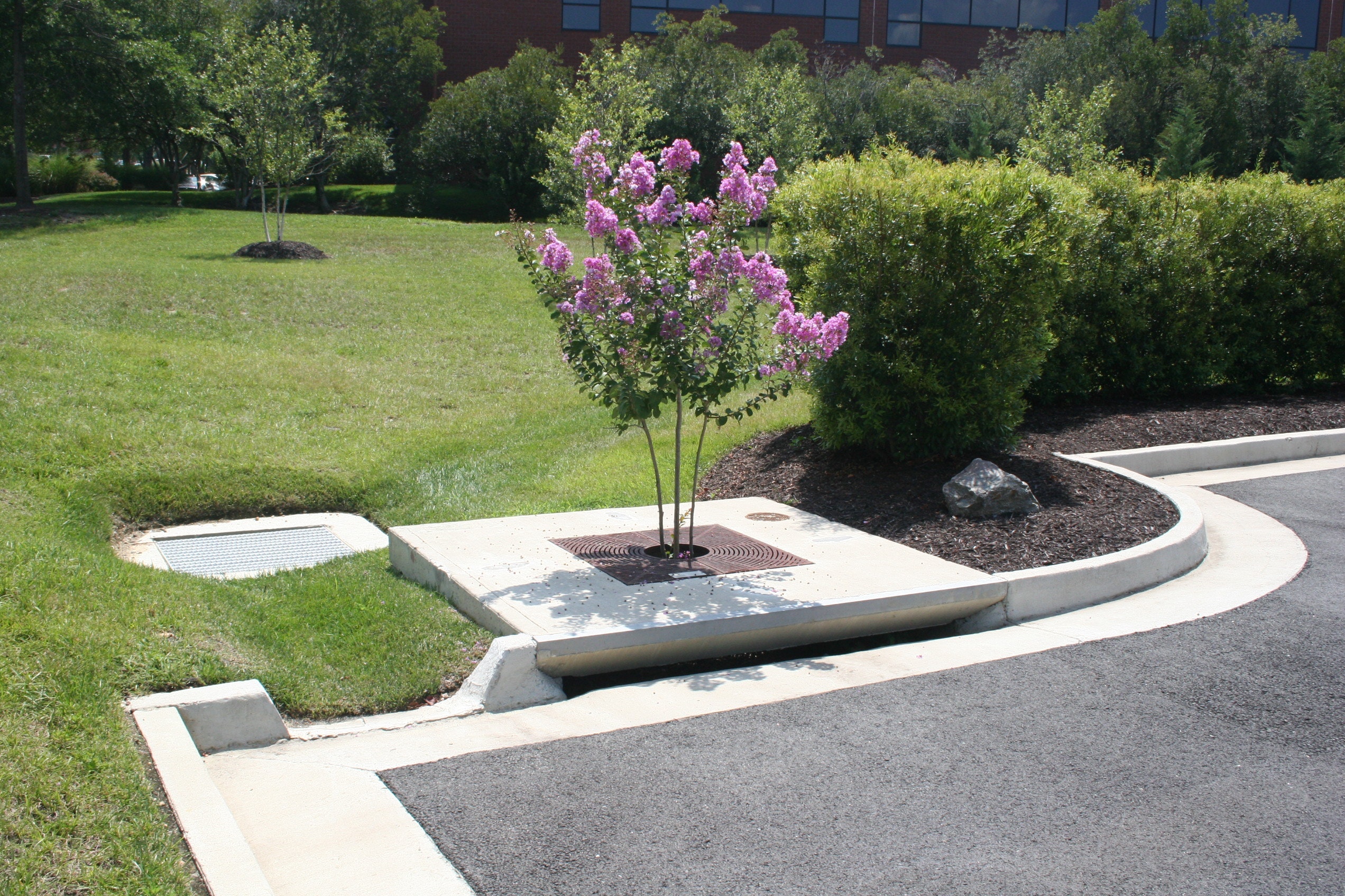 1655262646277 Contech 6