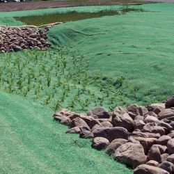 1655262650785-aecphoto