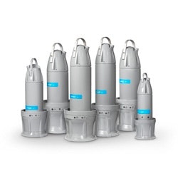 1655262655859 May Xylem