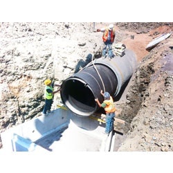 1655262656204 May Redvalve