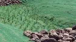 1655262659529-aecphoto_0 1655262659529-aecphoto_0