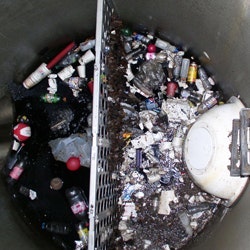 1655262661991 Saflwithsnout2hiressq