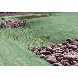 1655262665176-american_excelsion_ps_erosion