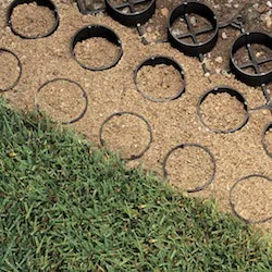 1655262697678 Grasscrosssectionsquare 1655262697678 Grasscrosssectionsquare