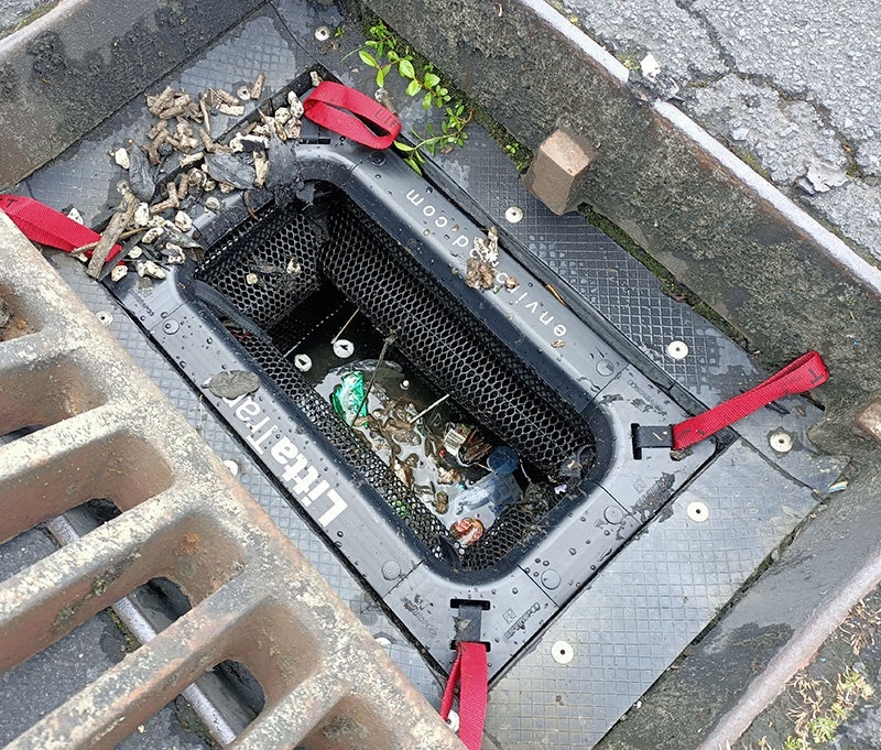 1655263353156 Native Content 1