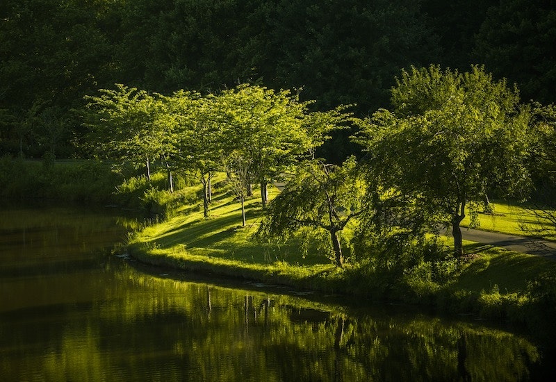 1655268512781 Virginia Water