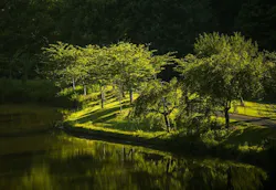 1655268512781 Virginia Water 1655268512781 Virginia Water