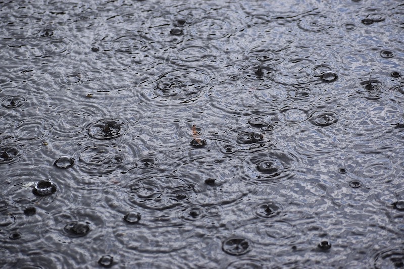 1655268556012 Rainfall