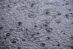 1655268556012 Rainfall 1655268556012 Rainfall