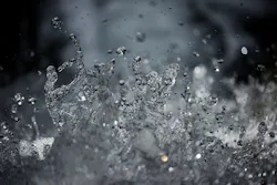 1655268589212 Nutrientpollution 1655268589212 Nutrientpollution