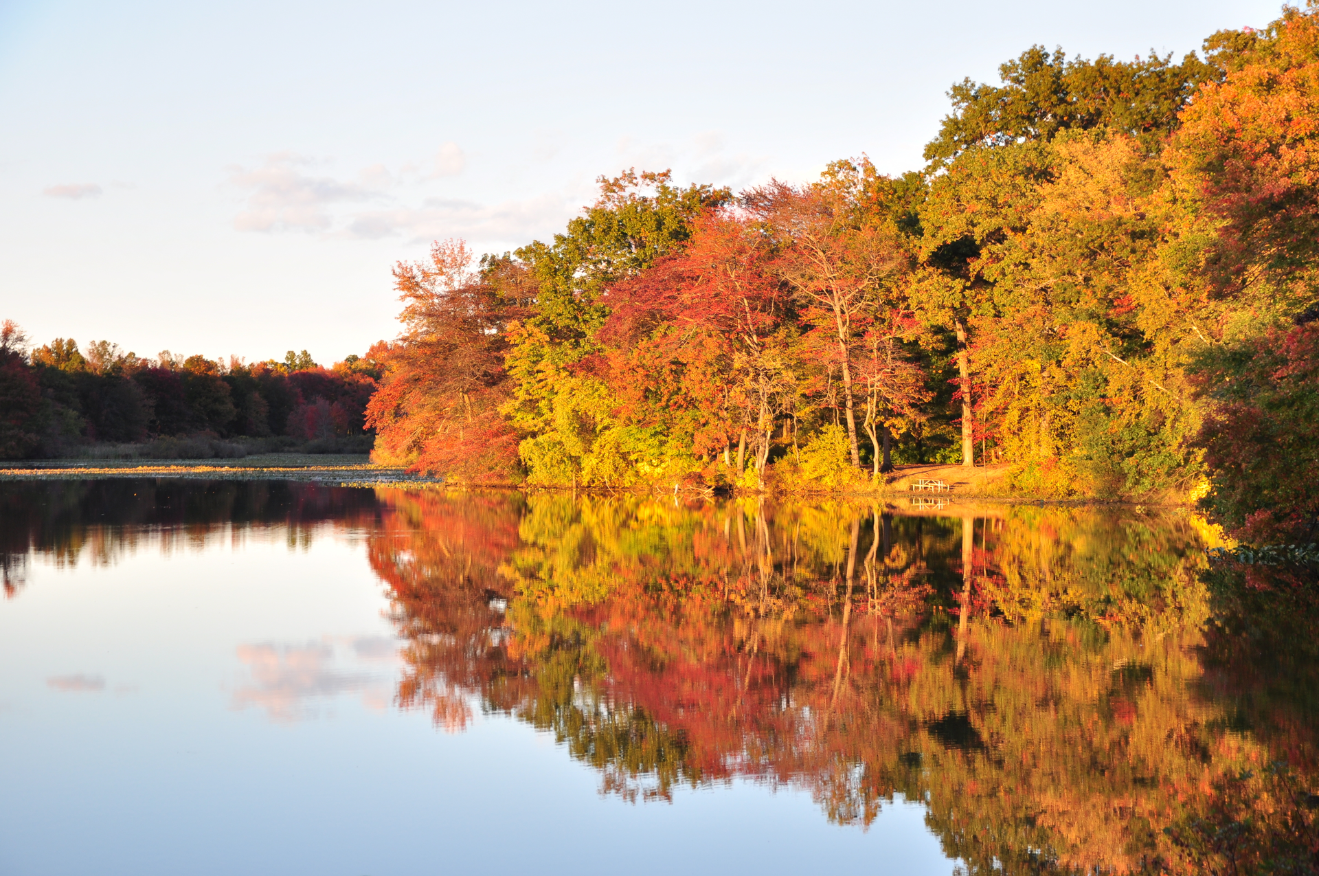 1680128166395 Dreamstime Xl 61965880