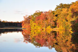 1680128166395 Dreamstime Xl 61965880 1680128166395 Dreamstime Xl 61965880