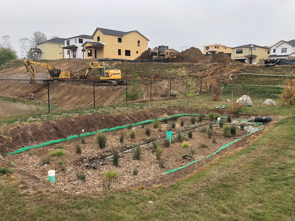 1680129611312 Img 3058