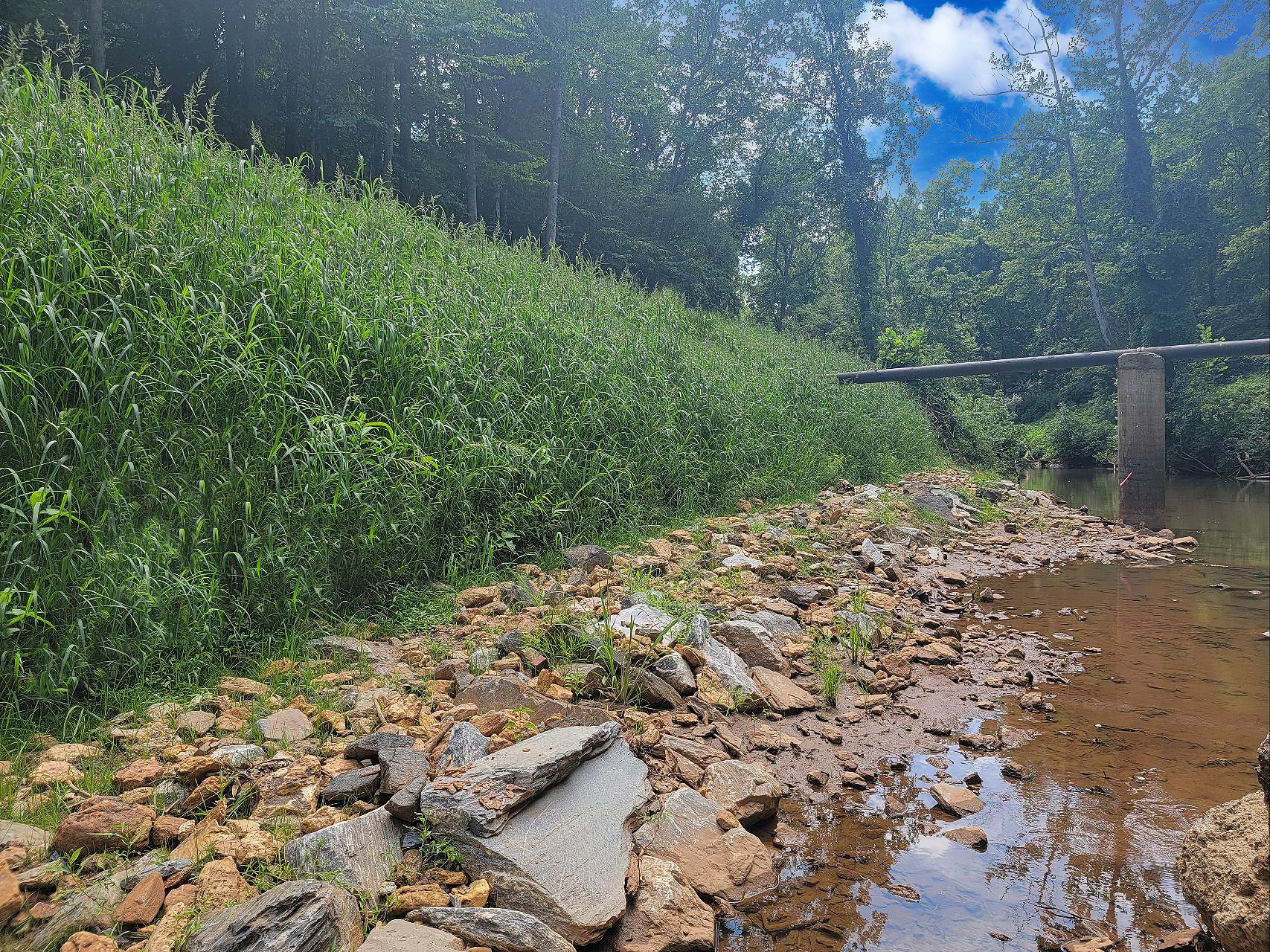Like most urban waterways, Blackwater Creek is lined with buildings and infrastructure, making access and constructability costly and challenging