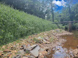 Like most urban waterways, Blackwater Creek is lined with buildings and infrastructure, making access and constructability costly and challenging Like most urban waterways, Blackwater Creek is lined with buildings and infrastructure, making access and constructability costly and challenging