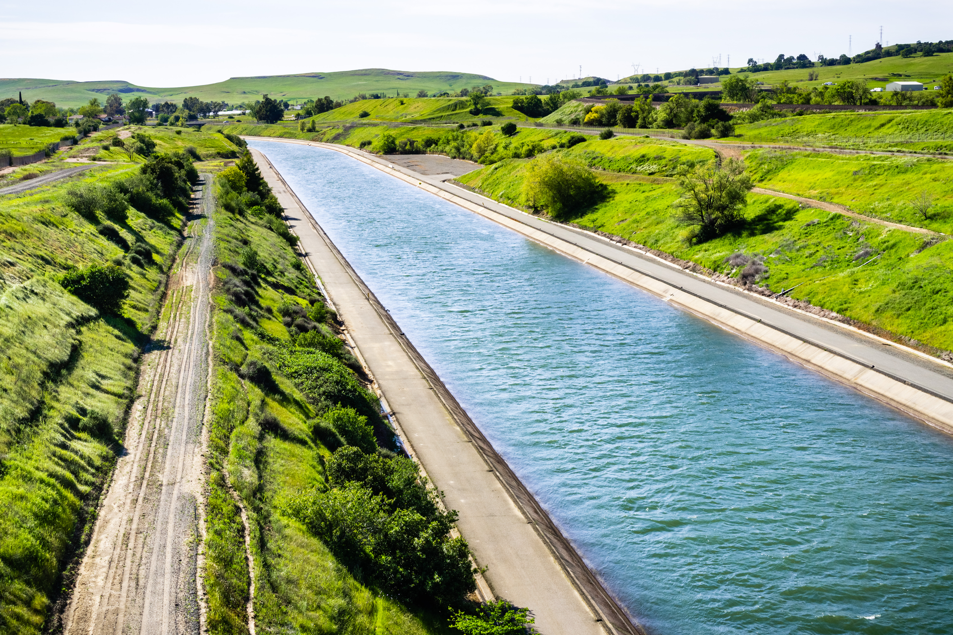 canal vegetation